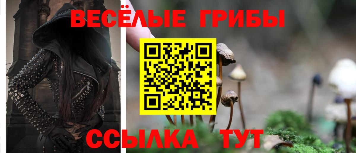Галлюциногенные грибы GOLDEN TEACHER  Галлюциногенные грибы GOLDEN TEACHER  Вход с VPN  Грязи 
